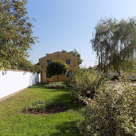 Platan Panzio Bed and Breakfast Nyúl Εξωτερικό φωτογραφία