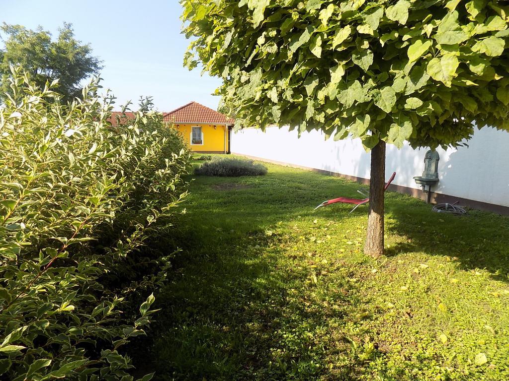 Platan Panzio Bed and Breakfast Nyúl Εξωτερικό φωτογραφία